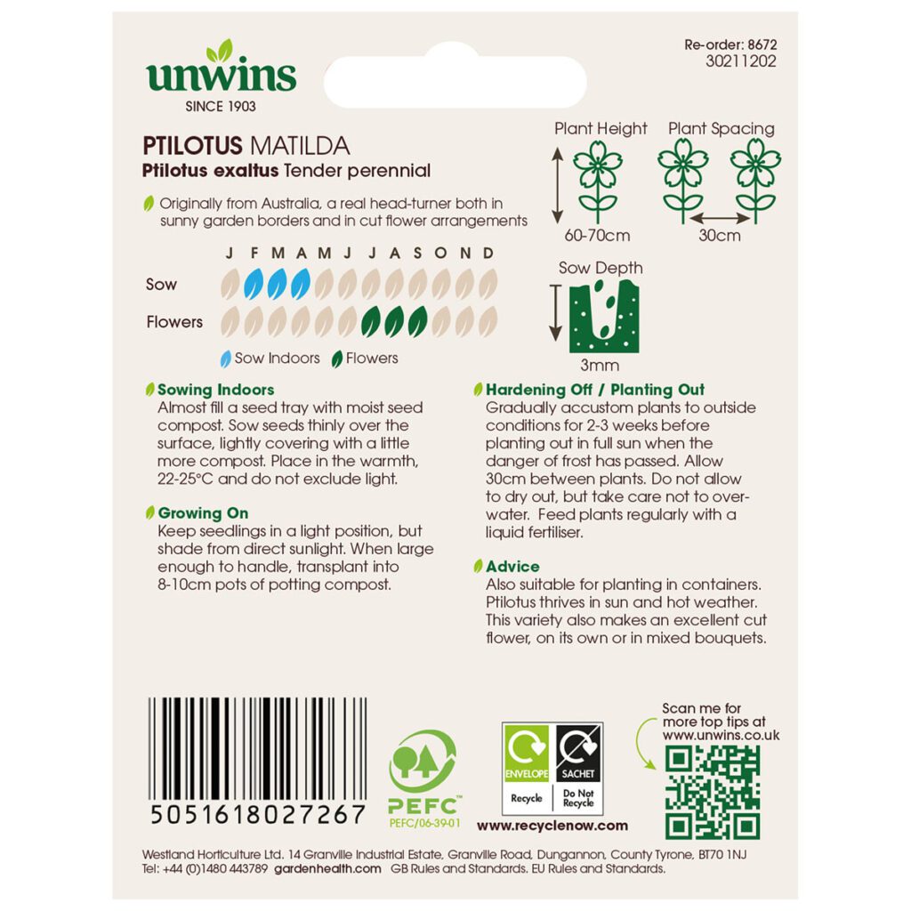 Unwins Ptilotus Matilda Seeds 5051618027267 2